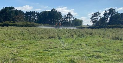 Miller Farm Spraying Cali Thistles